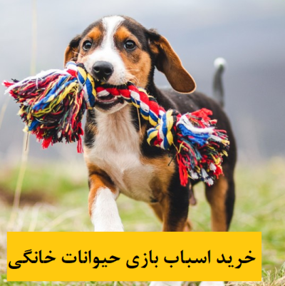 وسایل سرگرمی حیوانات خانگی