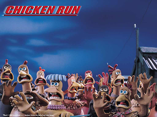 Chicken run