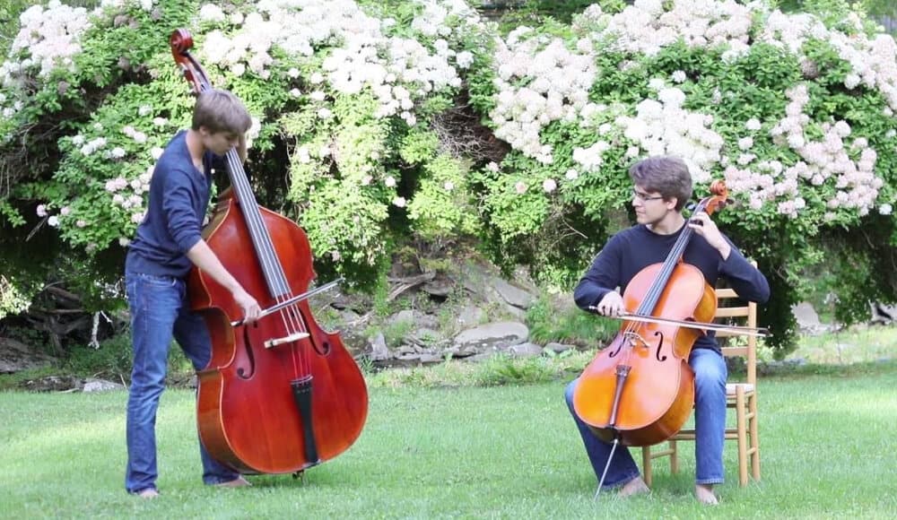 Cello-Vs-Double-Bass